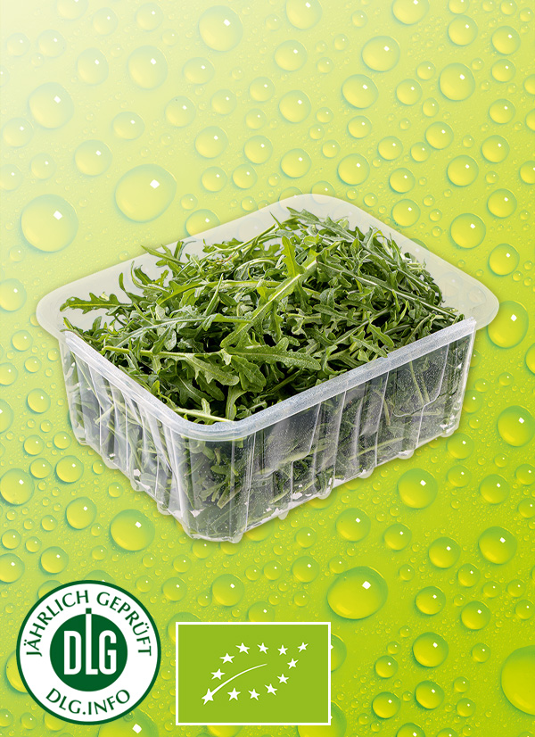 Produktbild »Bio-Salat sortiert«