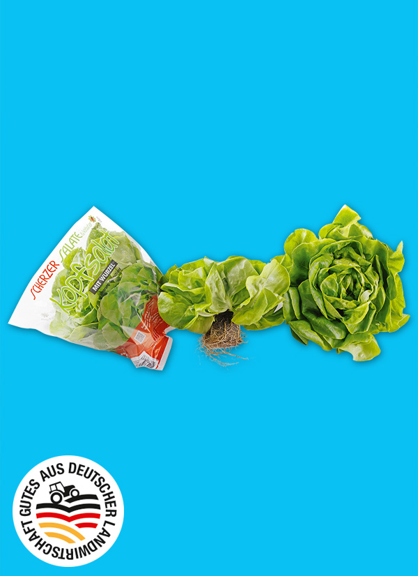 Produktbild »Bayerischer Kopfsalat mit Wurzelballen«