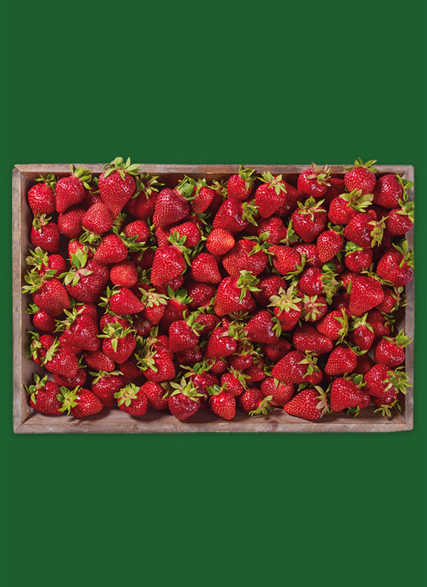Produktbild »Erdbeeren«