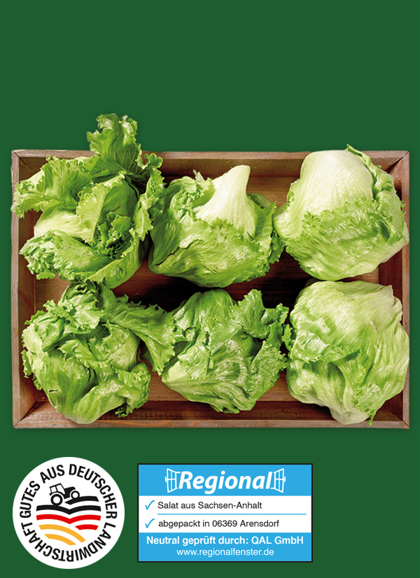 Produktbild »Magdeburger Börde Eisbergsalat«