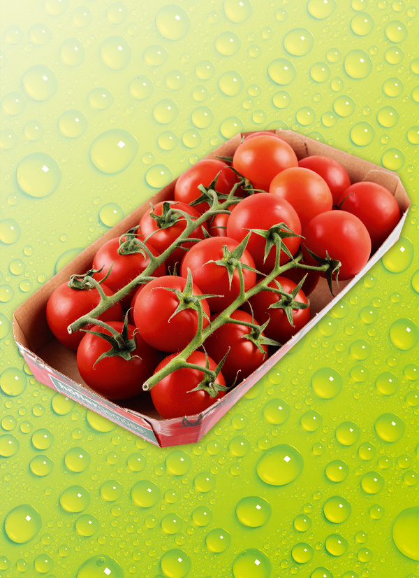 Produktbild »Thüringer Cocktailtomaten«