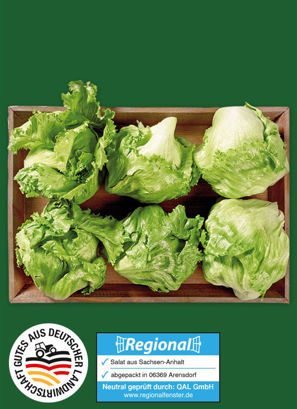 Produktbild »Magdeburger Börde Eisbergsalat«