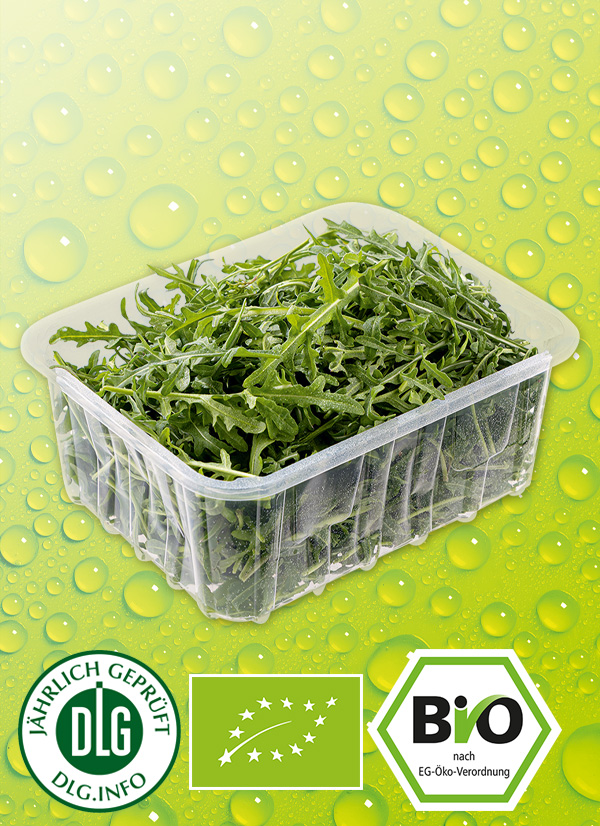 Produktbild »Bio-Salat sortiert«