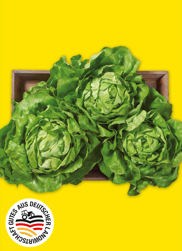 Produktbild »Filderstädter Kopfsalat«