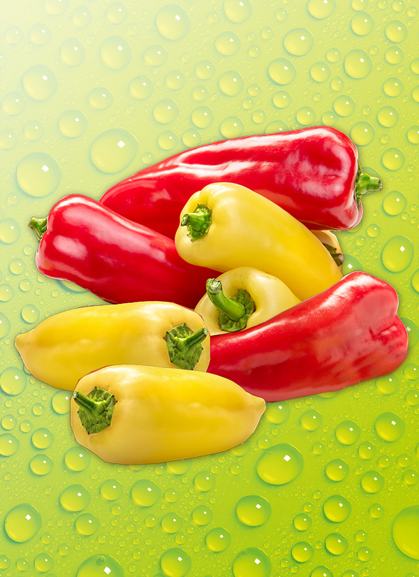Produktbild »Spitzpaprika«