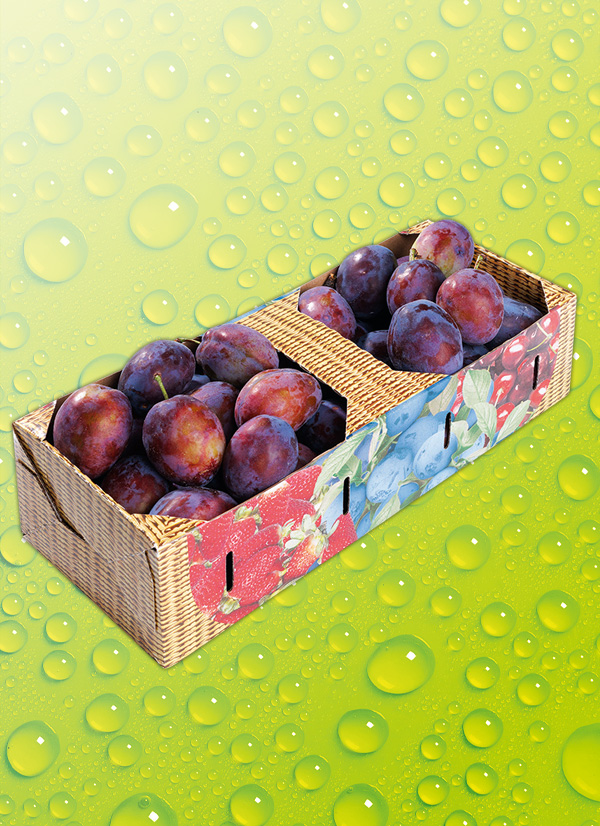 Produktbild »Zwetschgen«