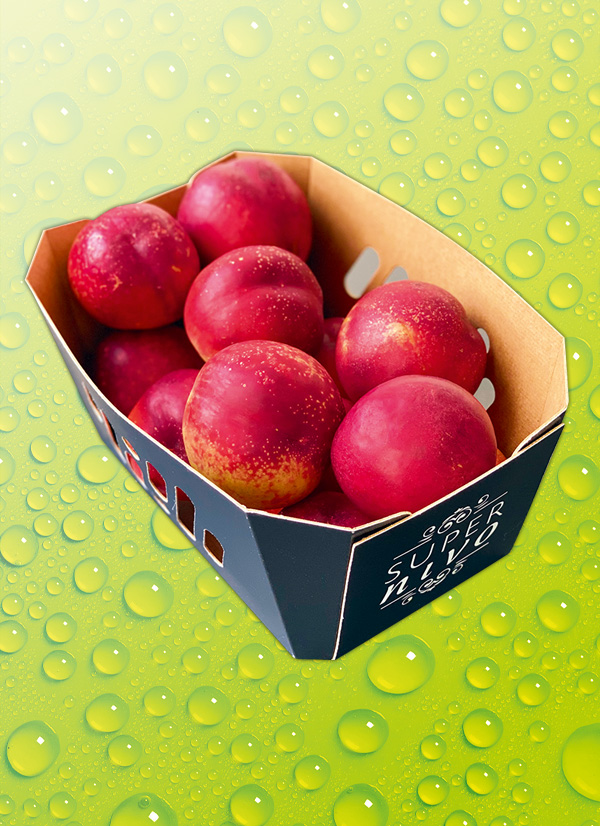 Produktbild »Nektarinen XXL«