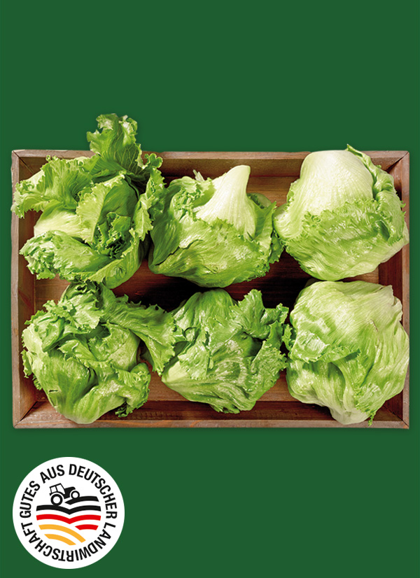 Produktbild »Magdeburger Börde Eisbergsalat«