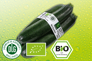 Bio-Zucchini