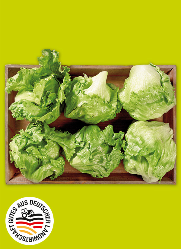 Produktbild »Rheinländer Eisbergsalat«