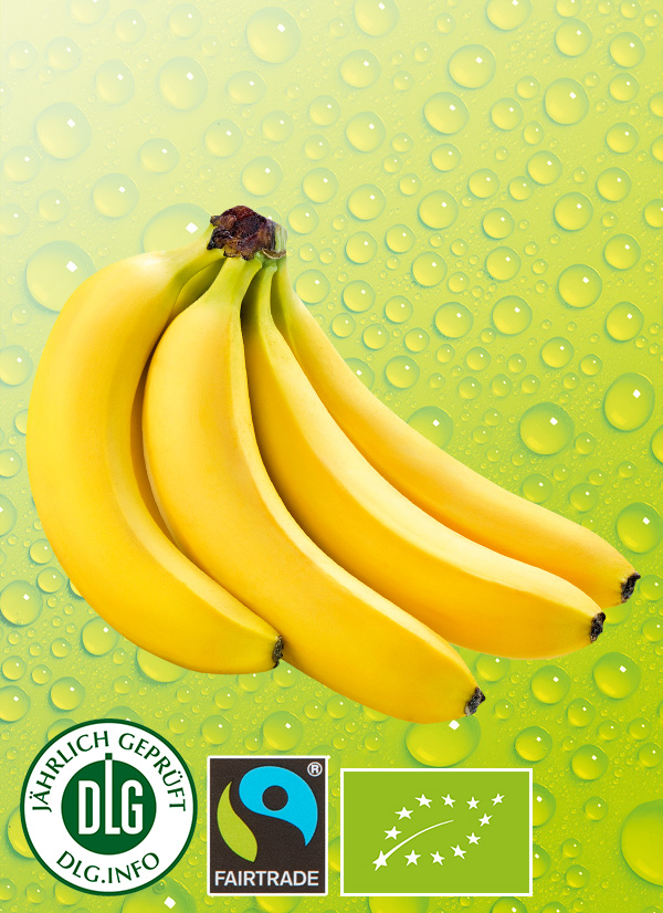 Produktbild »Bio-Bananen«