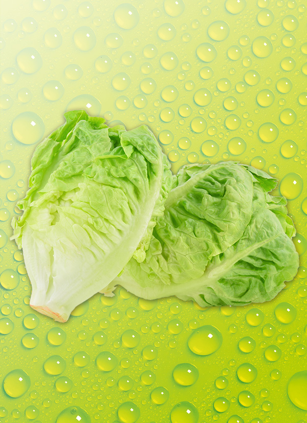 Produktbild »Mini Romana Salatherzen«