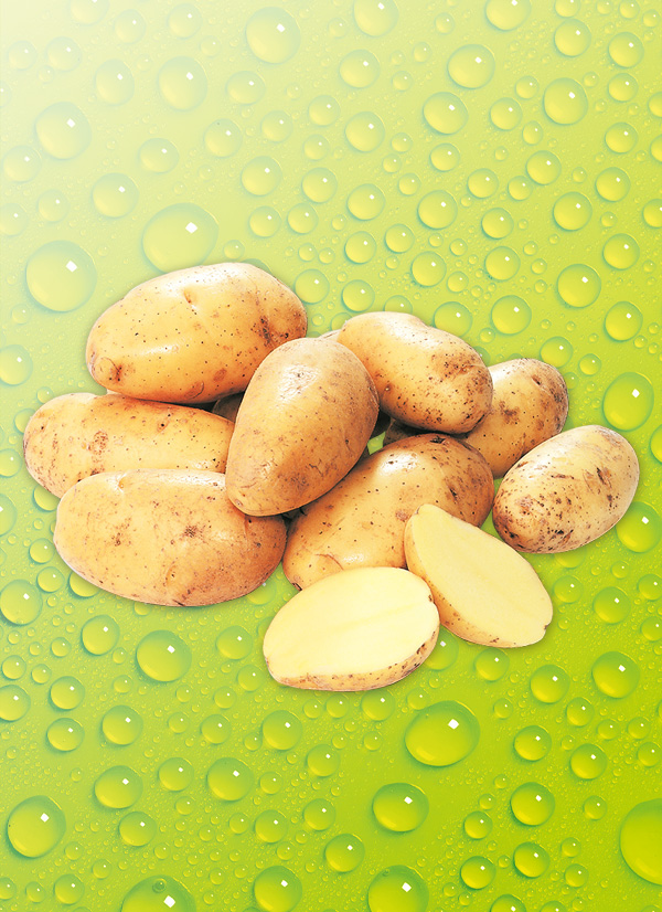 Produktbild »Bio-Speisekartoffeln«
