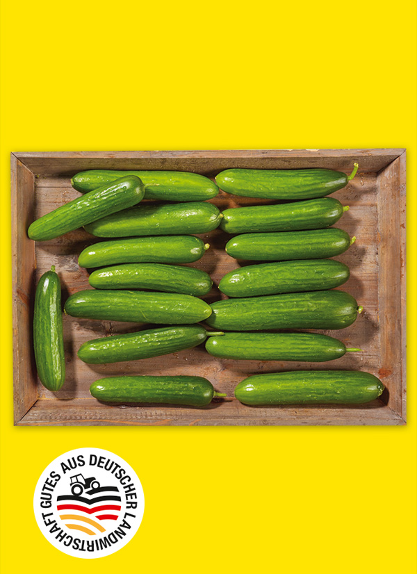 Produktbild »Mini Gurken«
