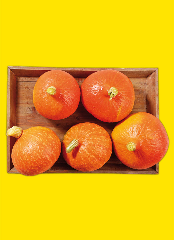 Produktbild »Bio-Speisekürbis«