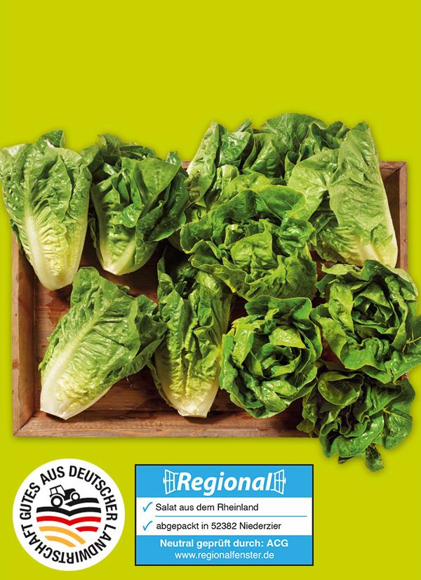 Produktbild »Rheinländer Mini Romana Salatherzen«