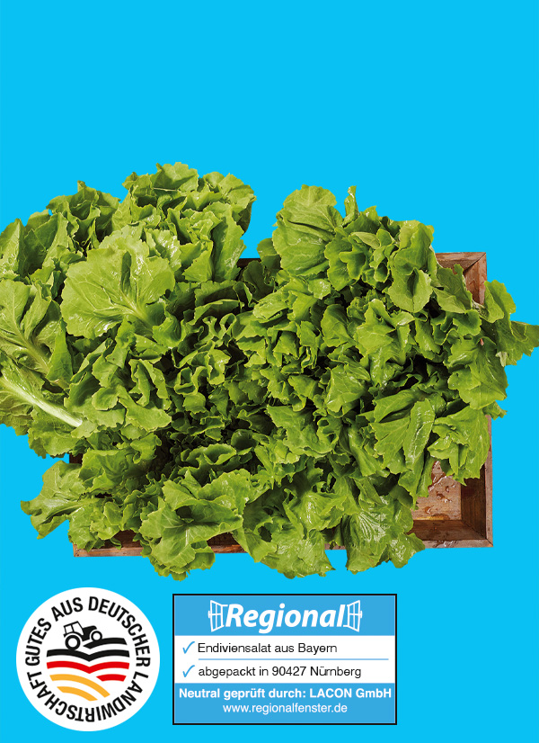 Produktbild »Bayerische Endiviensalat«