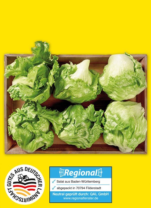 Produktbild »Filderstädter Eisbergsalat«