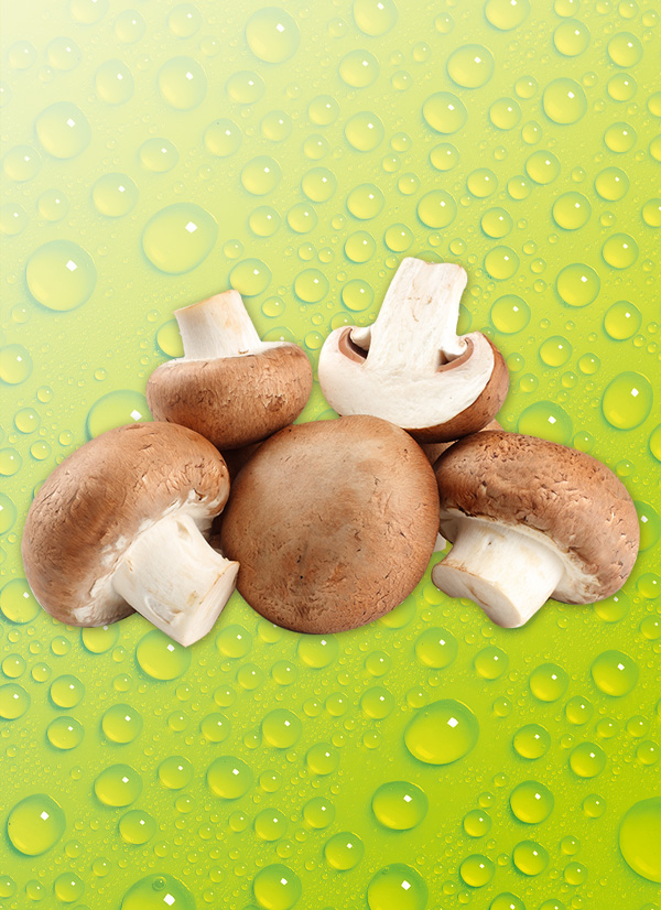 Produktbild »Champignons braun«