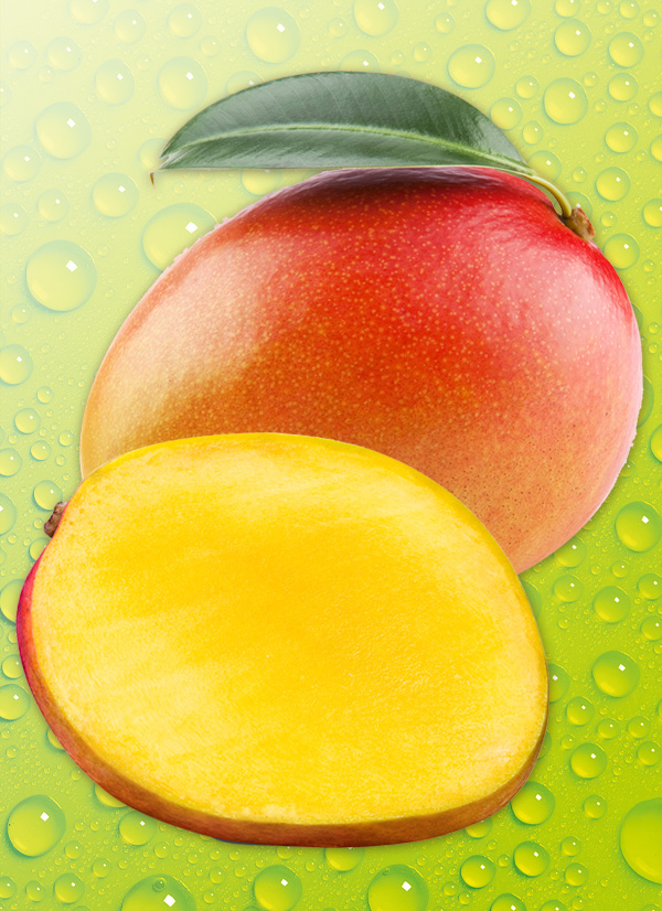 Produktbild »Mango«