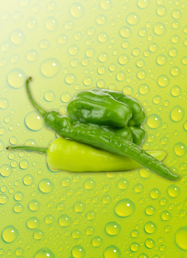 Produktbild »Paprika Spezialitäten«