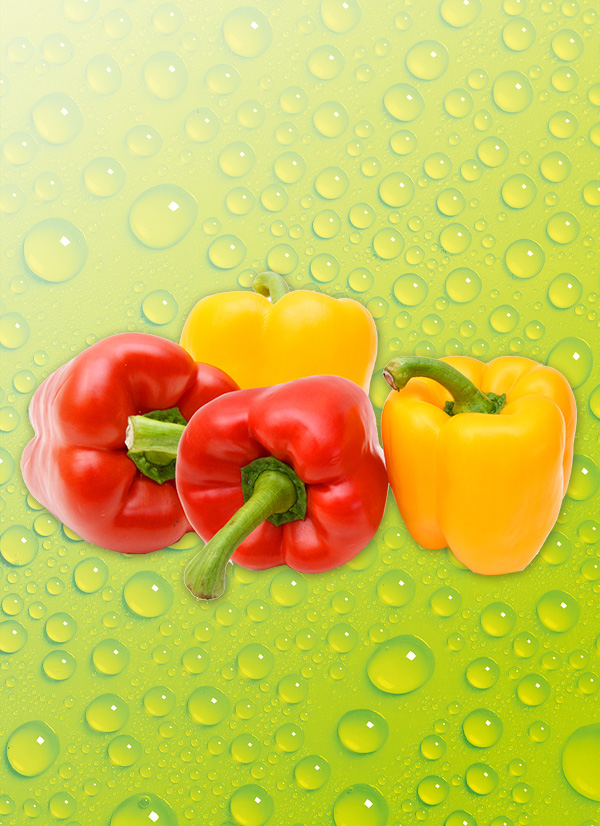 Produktbild »Bio Paprika«