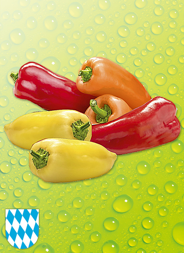 Produktbild »Bayerische Spitzpaprika mix«