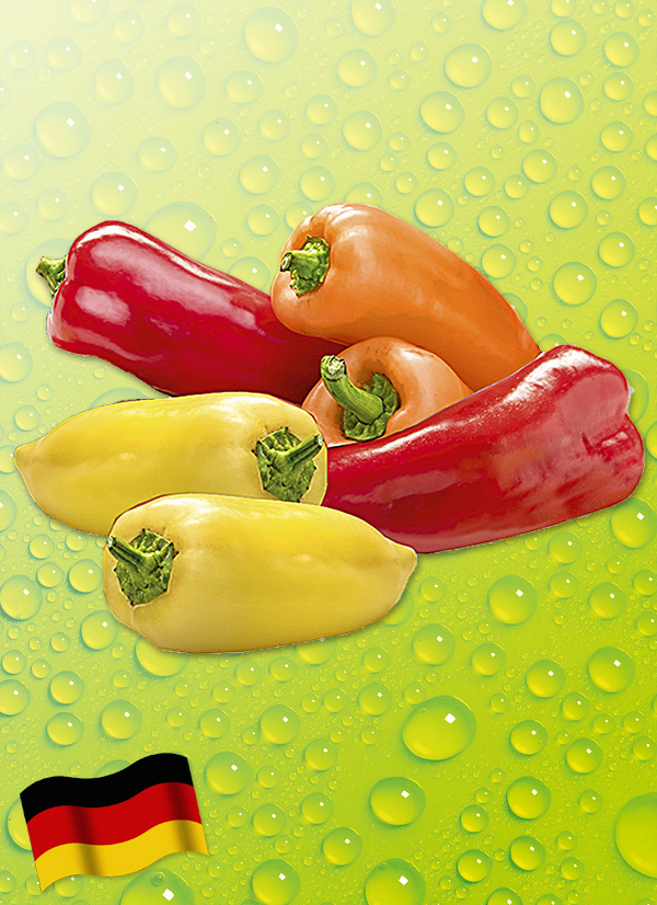Produktbild »Deutsche Spitzpaprika mix«