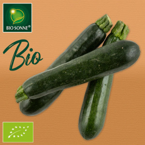 /ext/img/product/sortiment/bio-sonne/bio-zucchini_wo_1.jpg