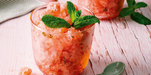 /ext/img/product/sortiment/rezepte_neu/rezept_2021_dessert_wassermelonen-granita_1.jpg