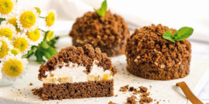 /ext/img/product/sortiment/rezepte_neu/rezept_2023_dessert_mini-maulwurf-kuchen_1.jpg