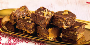 /ext/img/product/sortiment/rezepte_neu/rezept_2023_kuchen_plaetzchen-fudge_1.jpg