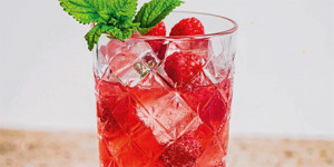/ext/img/product/sortiment/rezepte_neu/rezept_2024_getraenke_pink-lady_1.jpg