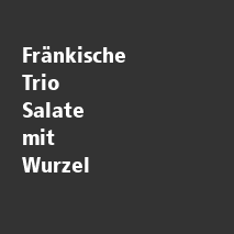 /ext/img/product/angebote/25/2100_trio-salate.png