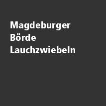 /ext/img/product/angebote/25/1300_lauchzwiebeln.png