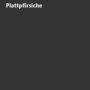 /ext/img/product/obst-und-gemuese/26_07_13/400_plattpfirsiche_w_1.jpg
