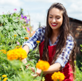 Gartenlaune