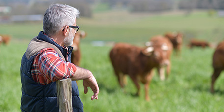 NORMA-Richtlinien NORMA-Richtlinien